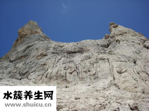 杰士邦自由派怎么樣