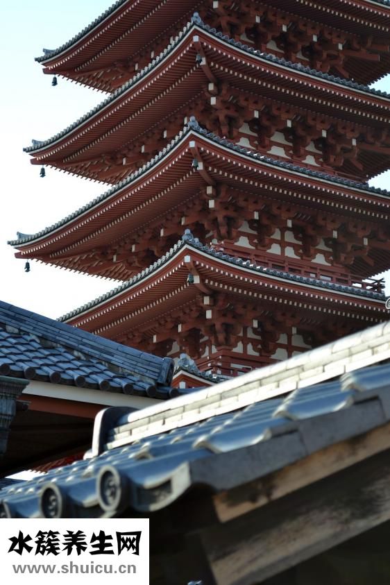 鱔始鱔終是指什么