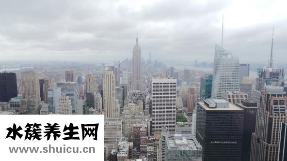 醫生嚴清怎么樣