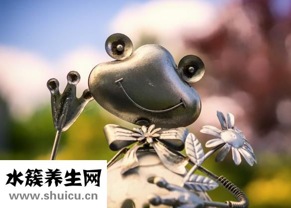 怎么樣做牛肉干