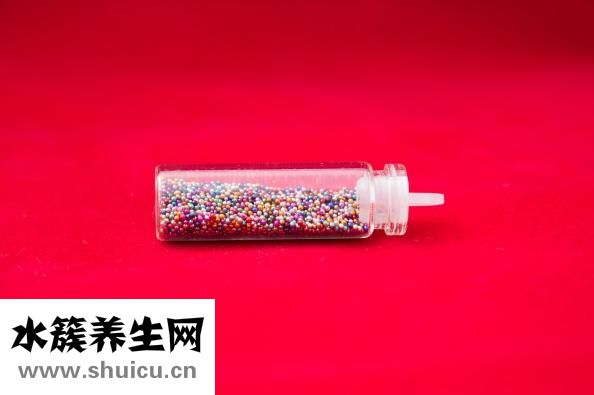 法蘭茜絲怎么樣