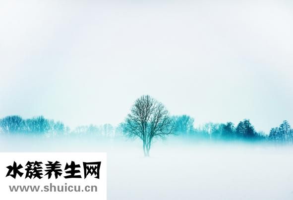 維妥立魚肝油怎么樣