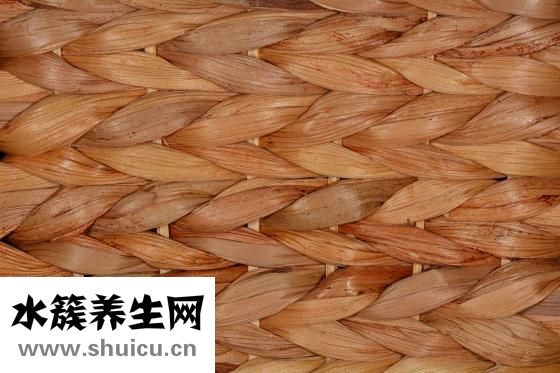 骨肉相連怎么做