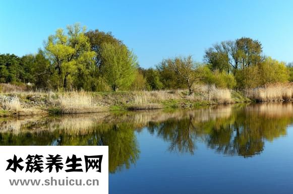 郎教授的書籍怎么樣