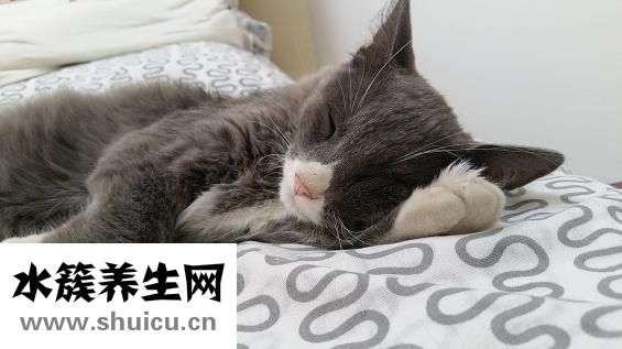 臉上長色斑怎么調理