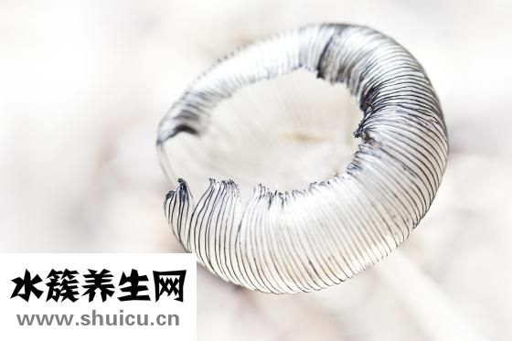 拓瑞檢測怎么樣