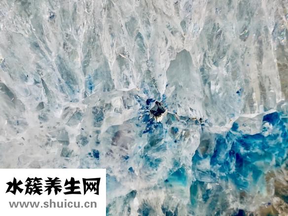 維妥立魚肝油怎么樣