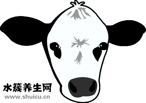 親點牛乳鈣怎么樣