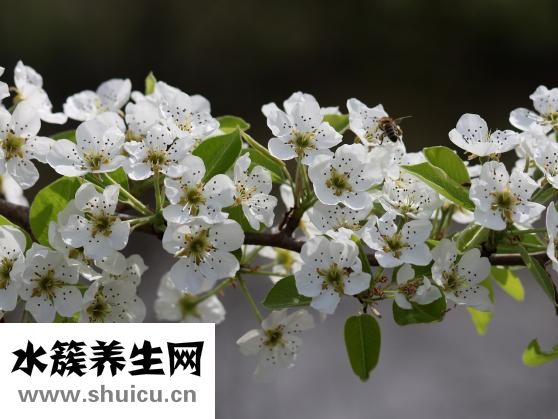 女的沒有膽會怎么樣