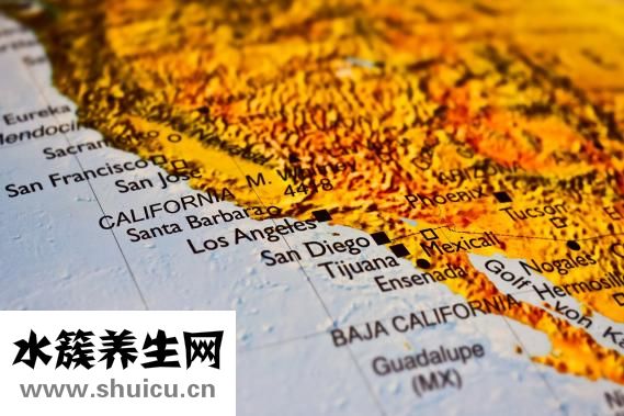 黃芪破壁飲片怎么樣