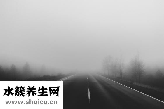 合歡花什么時候開