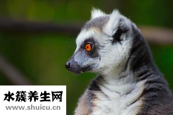 華嚴(yán)北里怎么樣