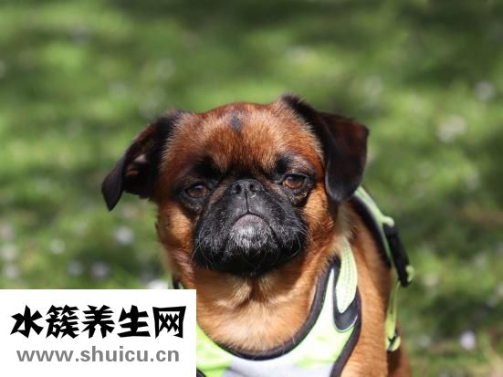 心煩氣躁怎么辦