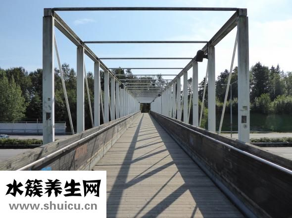 京東運費怎么算