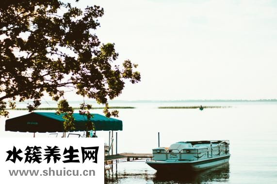 博樂純日拋怎么樣