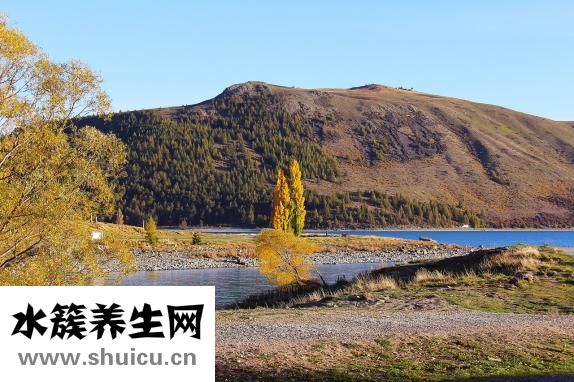 如何培養(yǎng)學生的數(shù)感