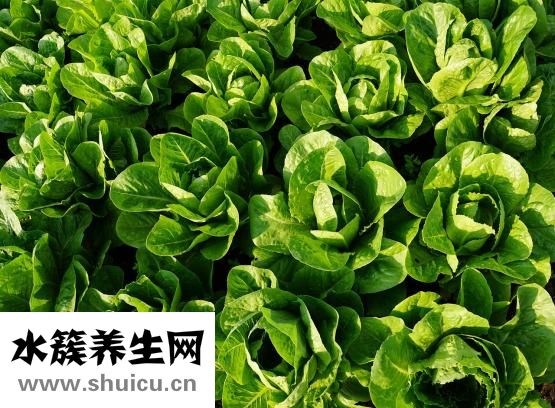 痔瘡總出血怎么辦