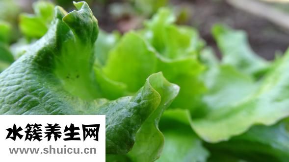 痔瘡總出血怎么辦