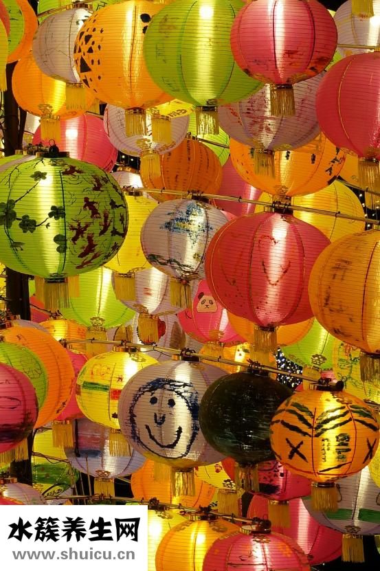 博樂純日拋怎么樣