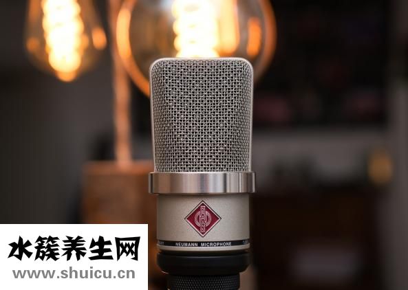 什么是被子植物