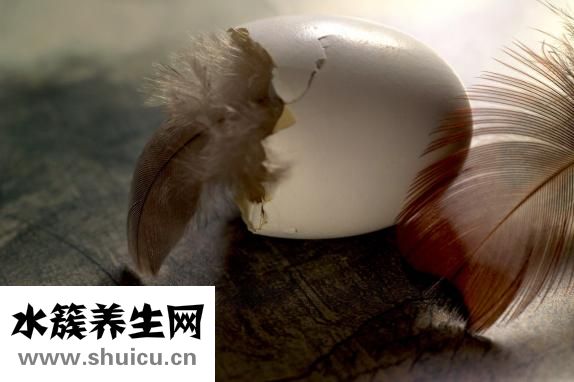 早餐吃什么營養