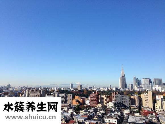 俄羅斯眼鏡怎么樣