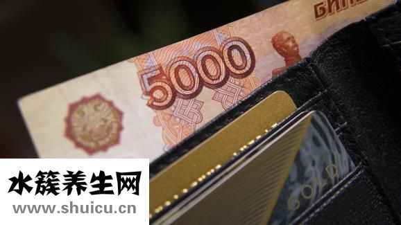 什么是被子植物