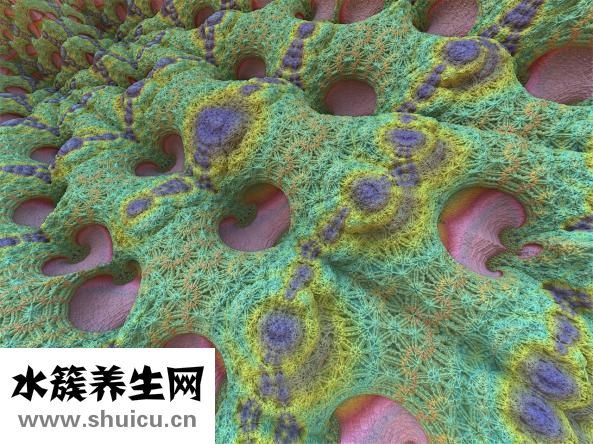 清血化唐這藥怎么樣