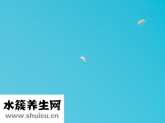 姿勢英語怎么說