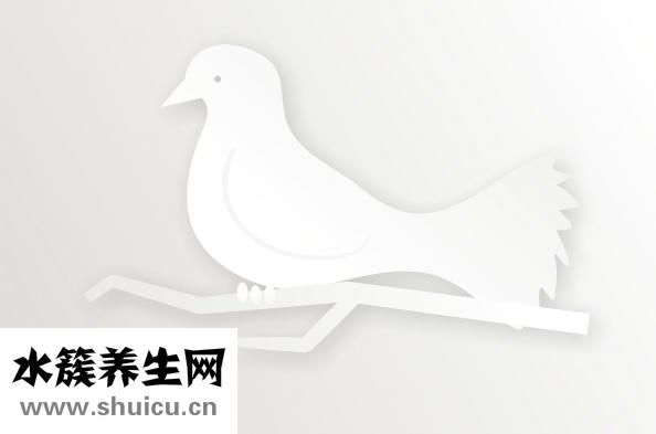 保安到底怎么樣