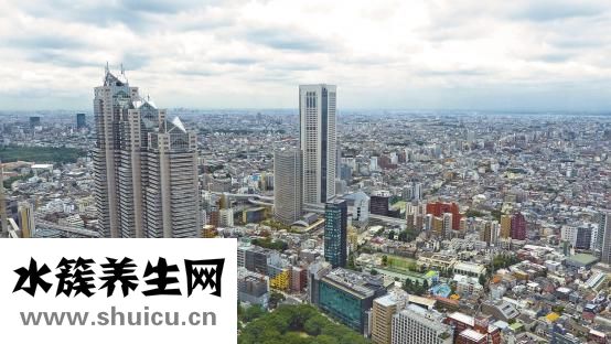 陳付國做鼻子怎么樣