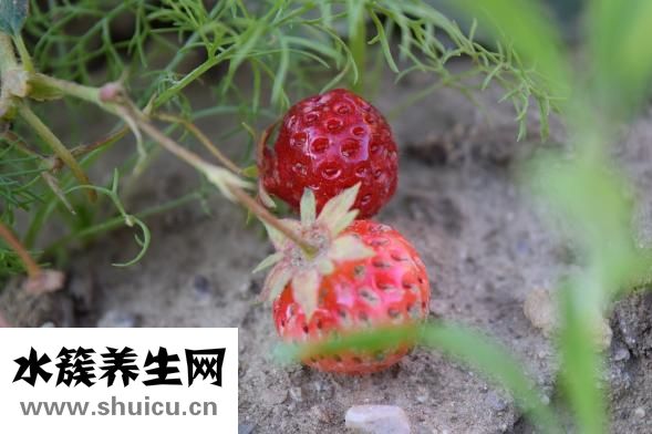 喜夢寶家具怎么樣