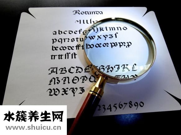 什么是被子植物