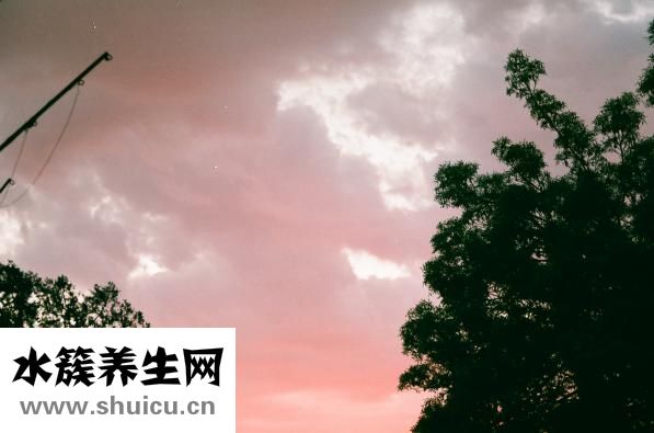 怎么樣可以除口臭呀