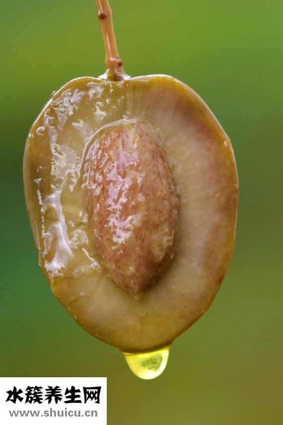 澳洲茶樹油怎么樣