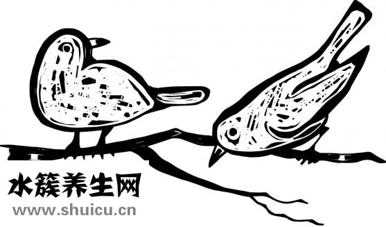 長期吃藥牙會怎么樣