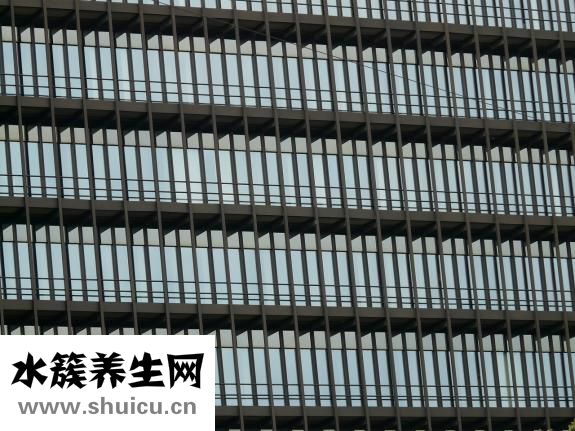 諾蘭悅浪怎么樣