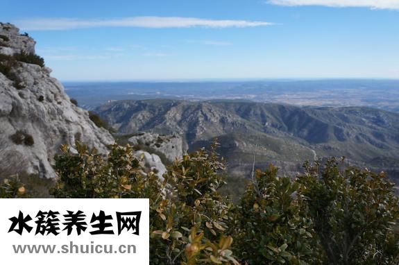 羅氏沼蝦營養怎么樣