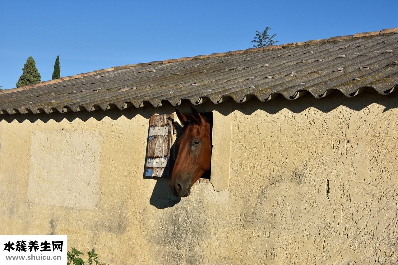 凡士林潤唇膏怎么樣