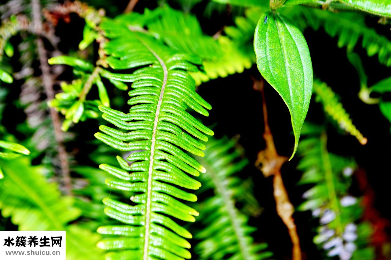 金利來的褲子怎么樣