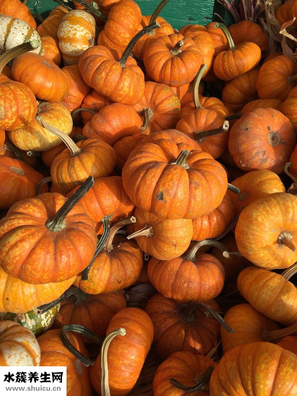 牛仔上衣配什么褲子