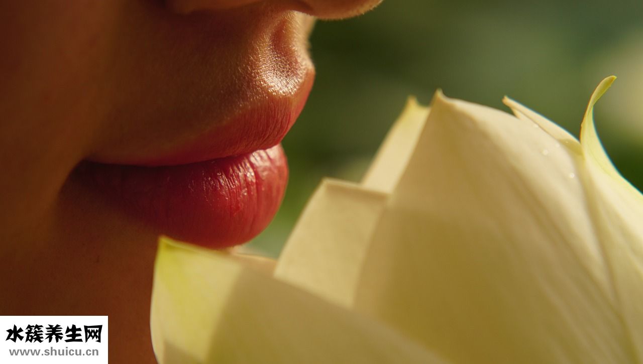 凡士林潤唇膏怎么樣