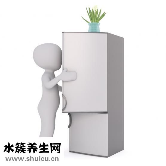 高端奶粉有哪些