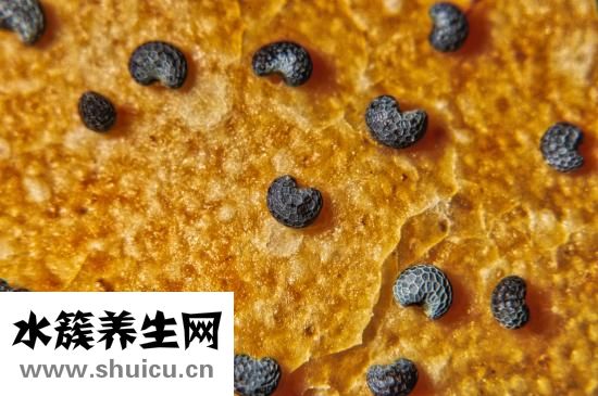 京薩祛疤怎么樣