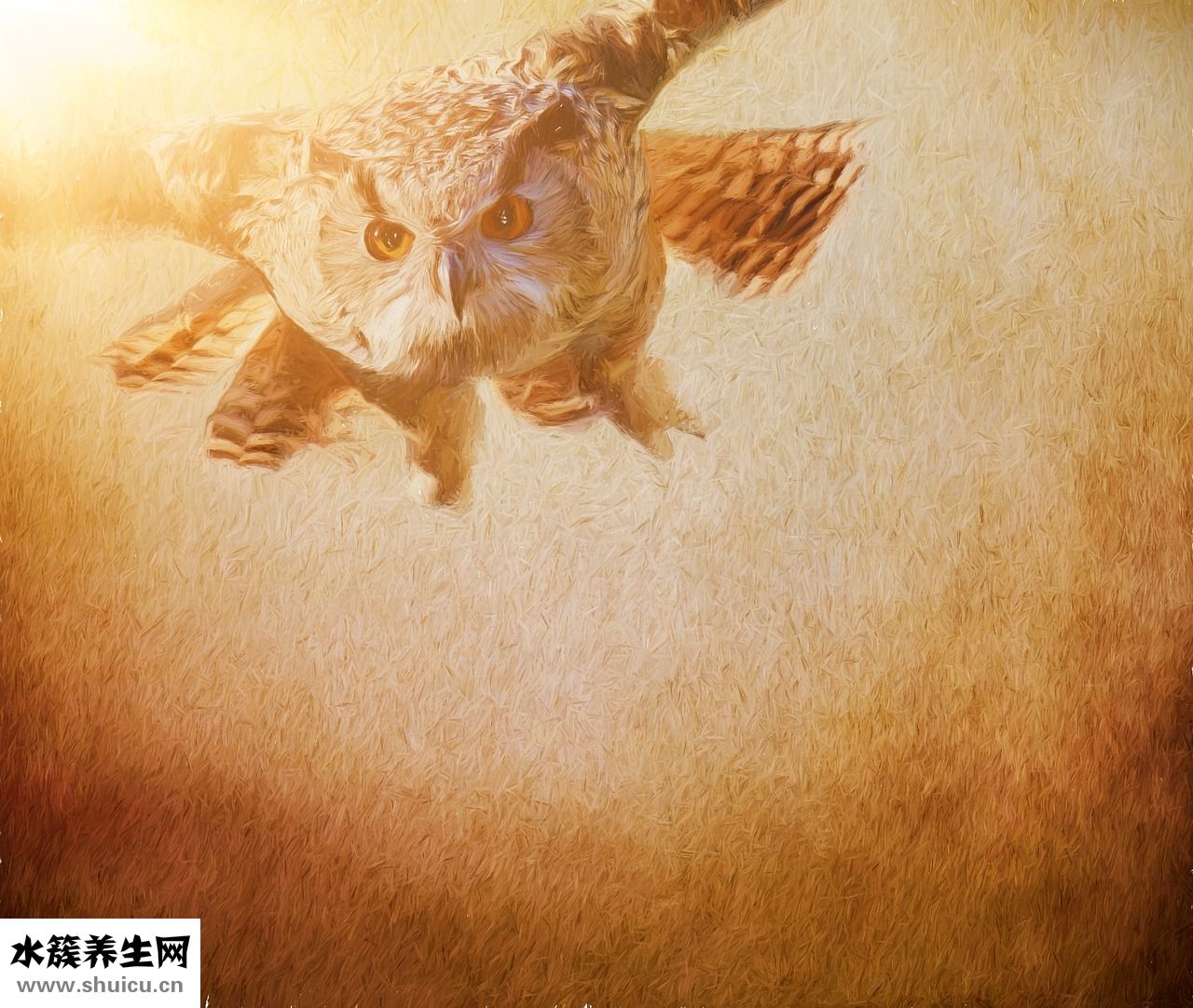 如何知道生男生女