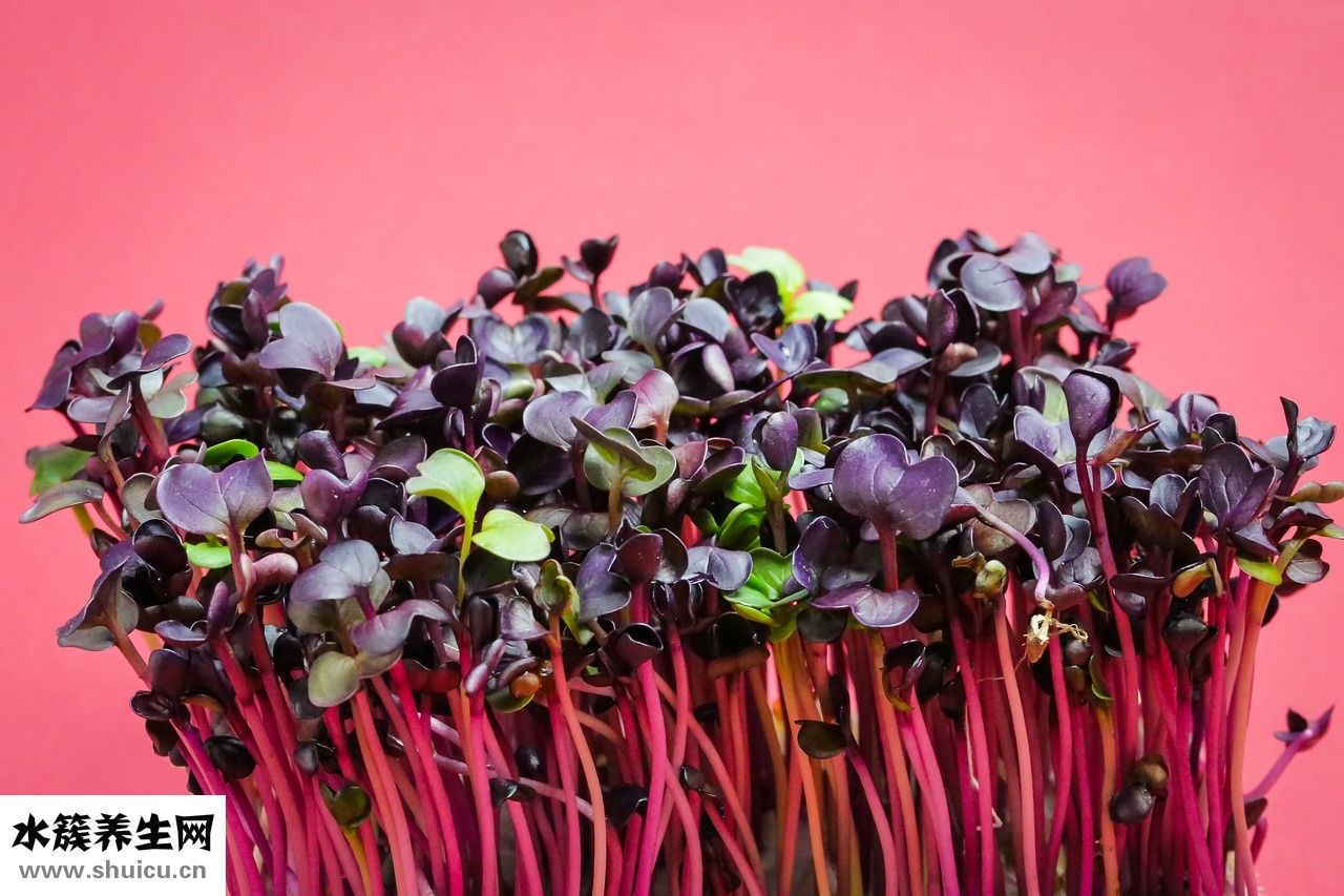 羅萊床上用品怎么樣