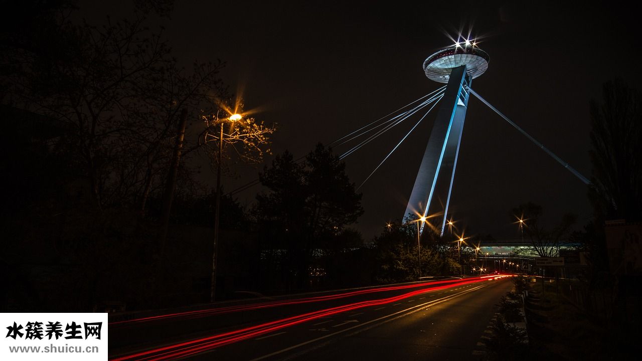 拉帕替尼怎么樣