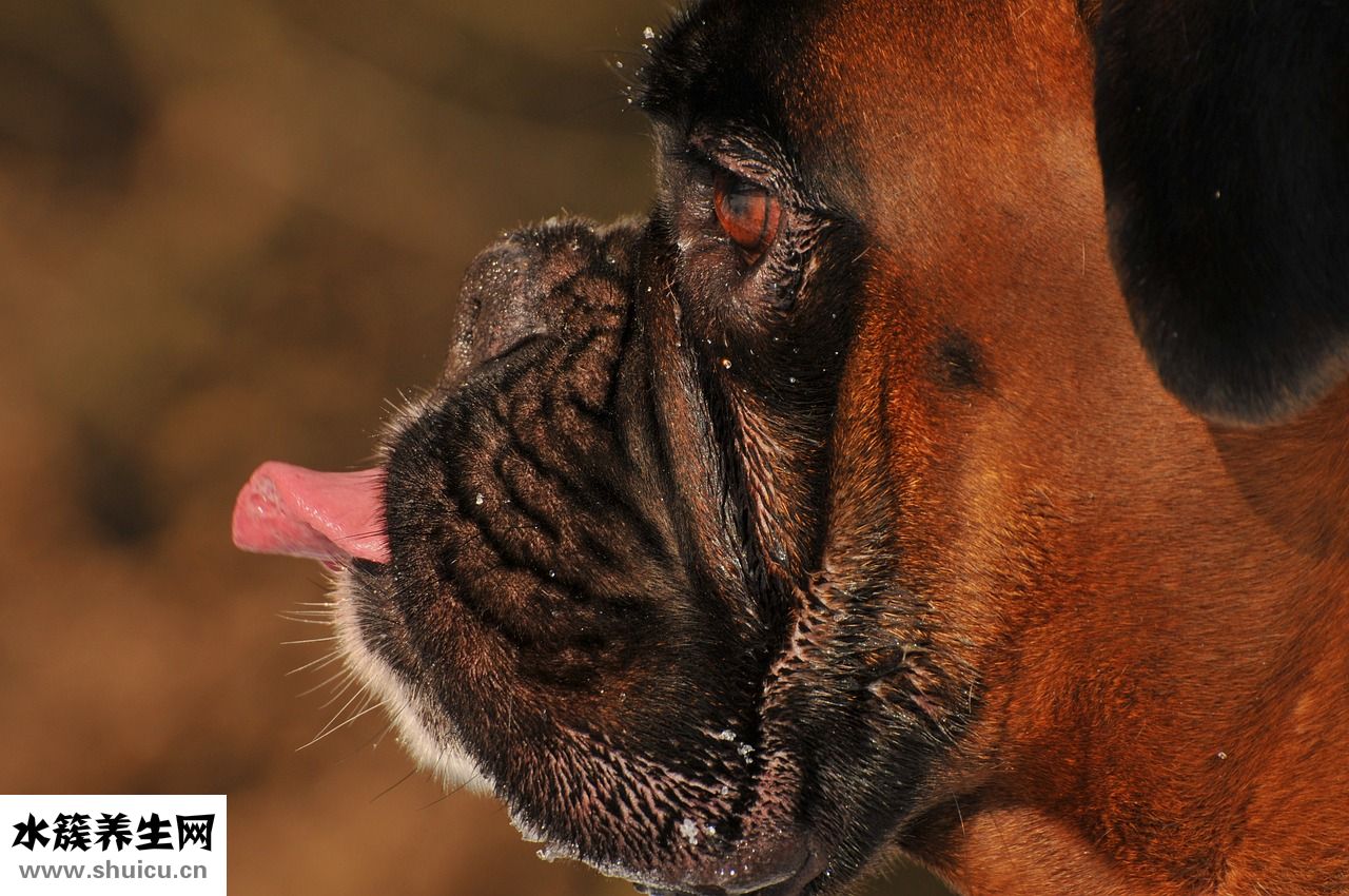 怎么樣容易生孩子