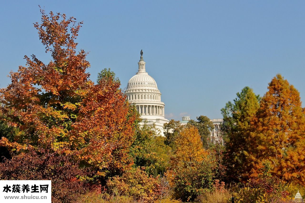 王伊女孩名怎么樣