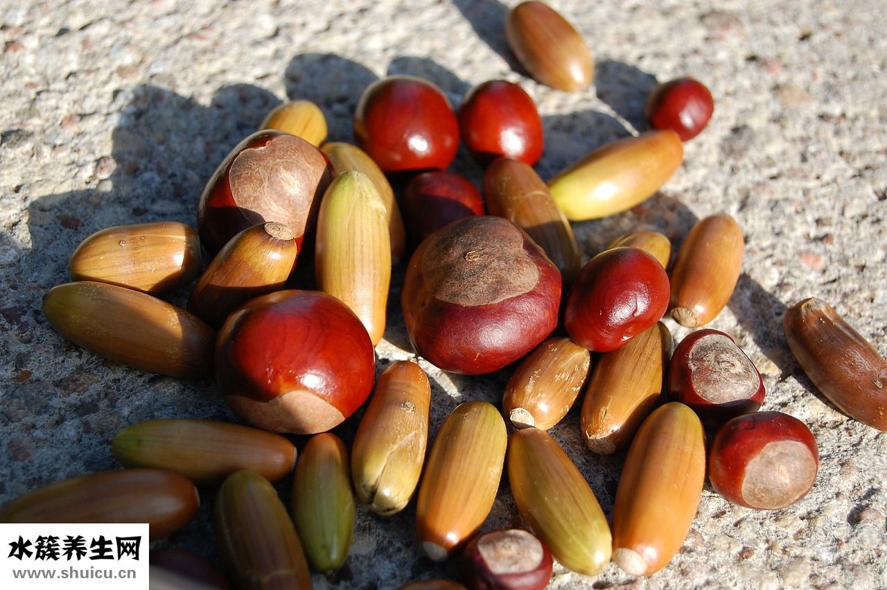 怎么樣用砂鍋煮海鮮